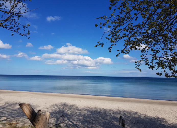 Meer